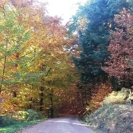 Διαμέρισμα Ekatarina Μπάντεν-Μπάντεν