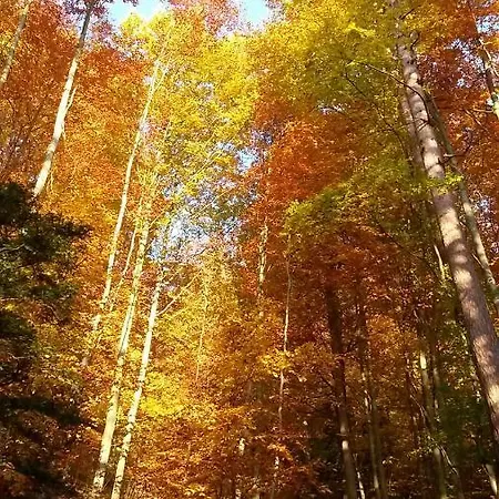 Διαμέρισμα Ekatarina