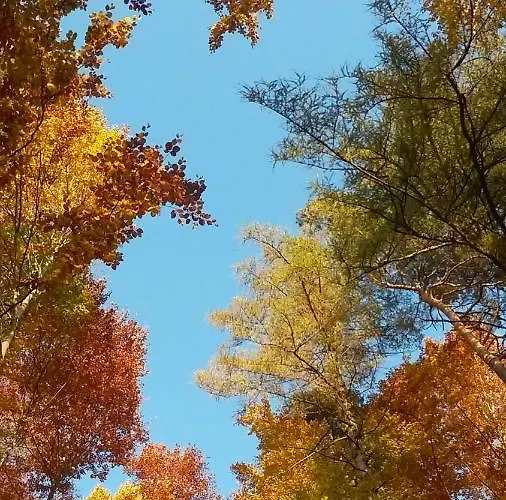 شقة إيكاتارينا بادن بادن