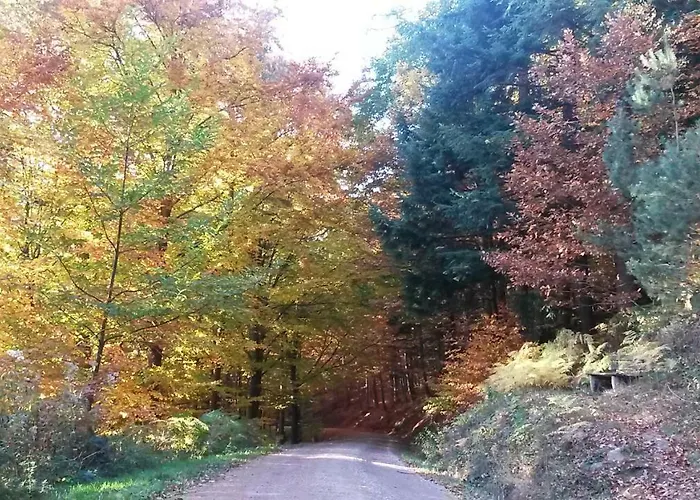 شقة إيكاتارينا بادن بادن